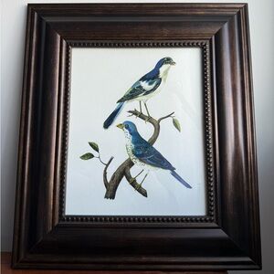 Wooden Framed Vintage Blue Bird Pair Lithography Print Wall Hanging Art 15x17”